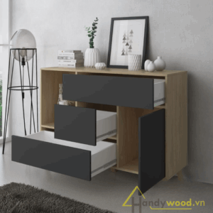 Tủ trang trí gỗ hiện đại TTR101