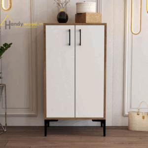 Tủ giầy phối mầu hiện đại TG105