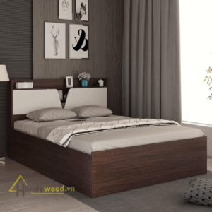 Giường ngủ đa năng GN109