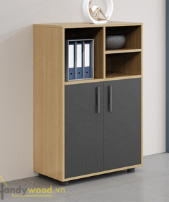 Tủ văn phòng thiết kế trẻ trung TVP115